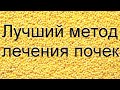 Лечение почек в домашних условиях народными средствами. Лечение почек пшеном: рецепты.