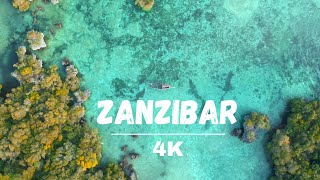 2 Minutes of Pure Bliss: Relaxing Zanzibar Escape in 4K