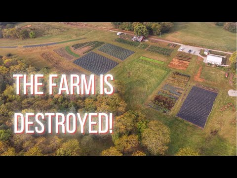 Video: Poškodba tornada na vrtovih - Kako rešiti rastline po tornadu