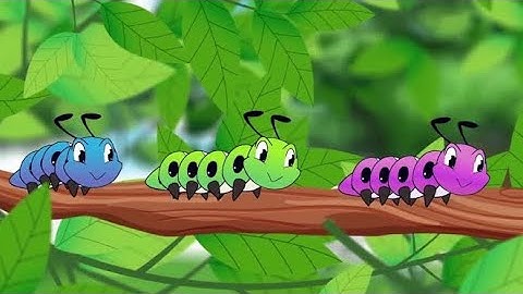 Coding อนุบาล 2 ใบกิจกรรมที่ 2.1