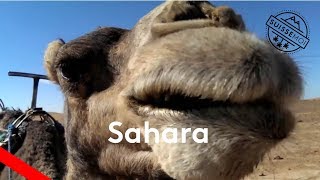 Suisse Moi En Trek Dans Le Désert Du Sahara