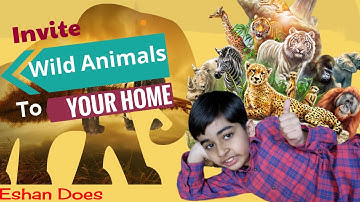 How to View 3D animals google at Android and iOS devices / AR - google