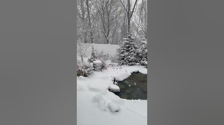 Pond #ponds #koi #snow