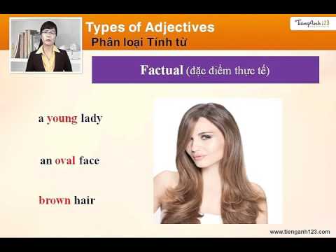 Unit 19 Adjectives and Adjective order Tính từ và trật tự của tính từ