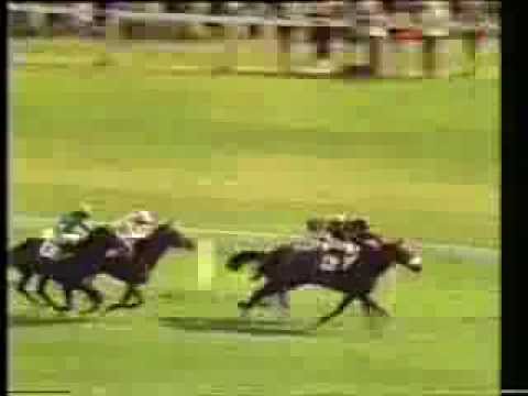 1981 St. Leger Stakes