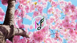 [Happy Piano Music] "Life Blossom" - Spring Joy Flowers (Copyright Free Music) screenshot 1