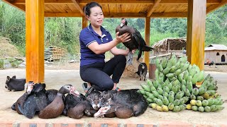 Harvest the Garden of Bananas & Ducks Goes to the market to sell - Build a farm | Trieu Mai Huong