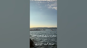 سورة آل عمران ( آية 8 - آية 9 )🤍 #ماهر_المعيقلي #قرآن