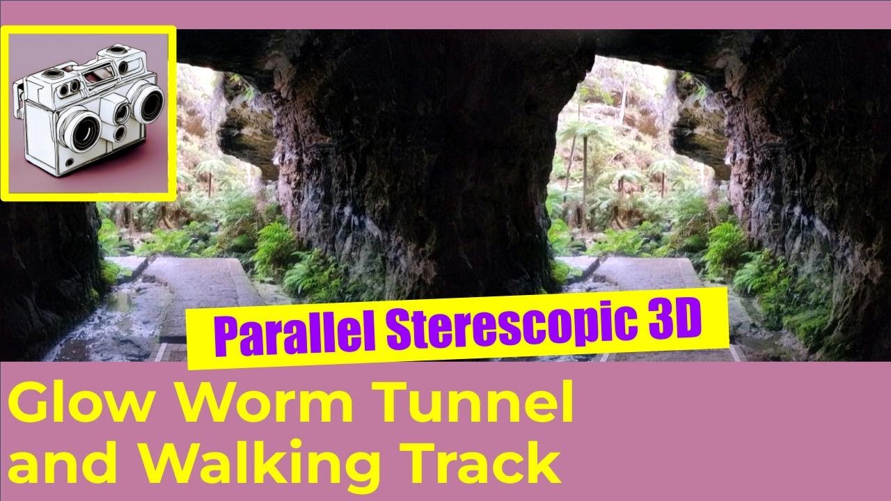 Glow Worm Tunnel & Walking Track: Parallel View Stereo SBS 3D VR Tour Deep in Wollemi National Park