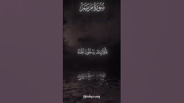 آيات من سورة مريم للراحة النفسيه #قرآن #قران_كريم #quran #viral #اكسبلور #fyp #explore #سورة_مريم