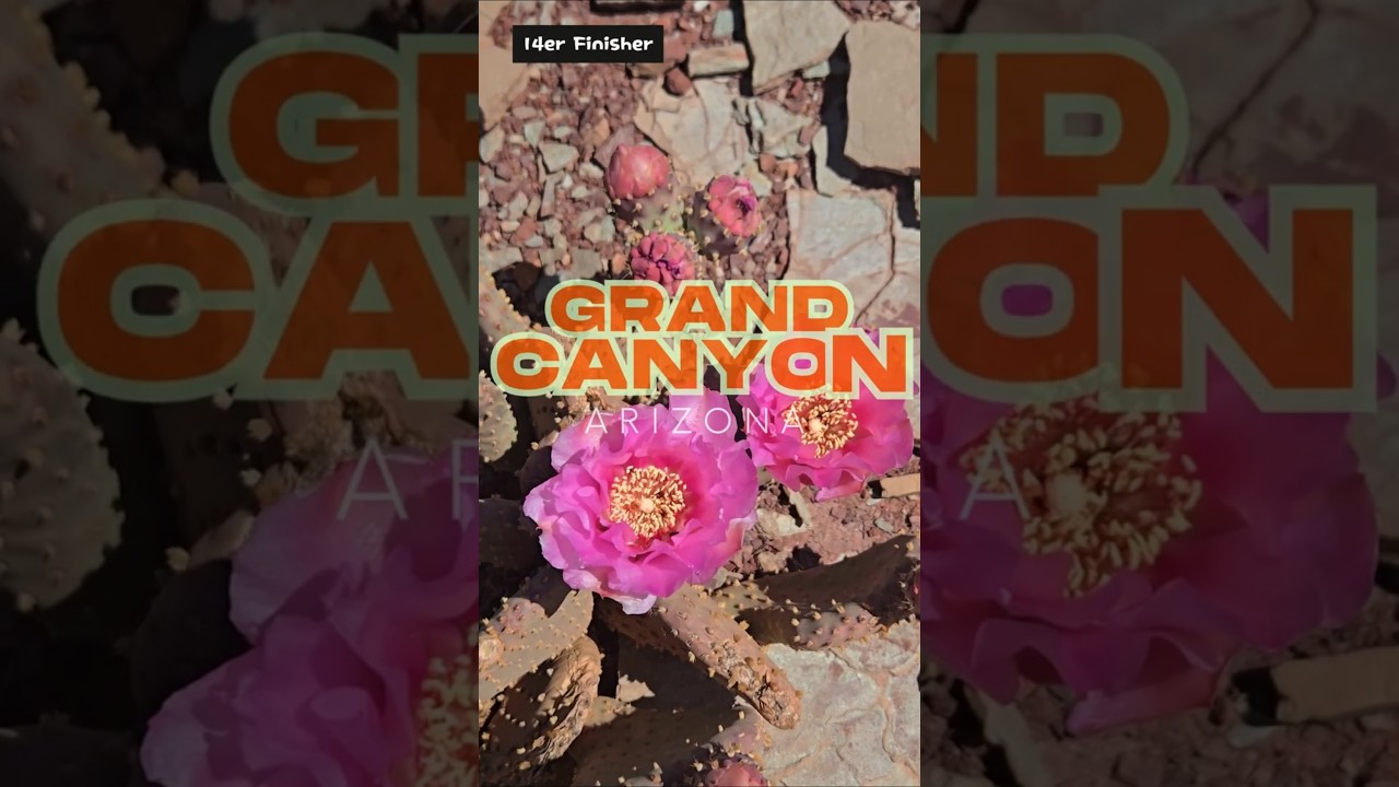 Exploring one of the most spectacular trails in the Grand Canyon! 🔥