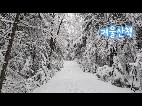 [번외편] 겨울산책 Winter <strong>Walk</strong> (Eng <strong>Sub</strong>)