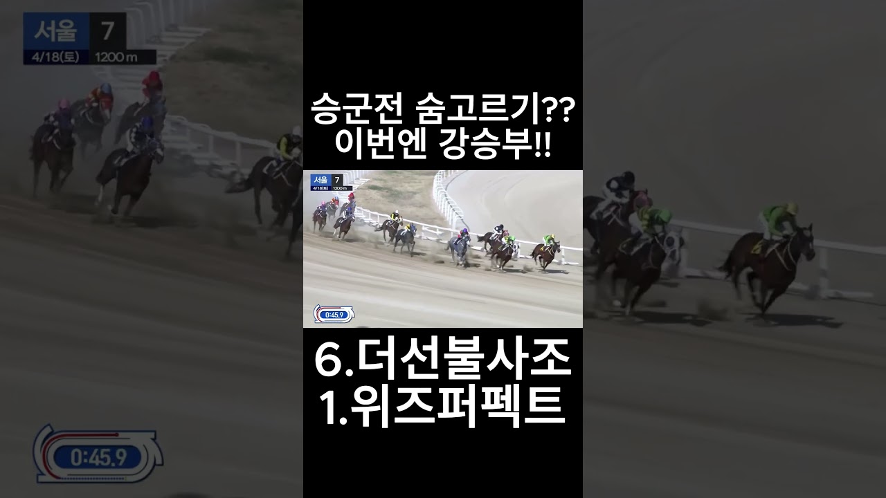 승군전 숨고르기  이번엔 강승부  #경마  #경마예상  #경마방송  #경마예상방송  #서울경마  #금요경마  #토요경마  #일요경마 #경마장