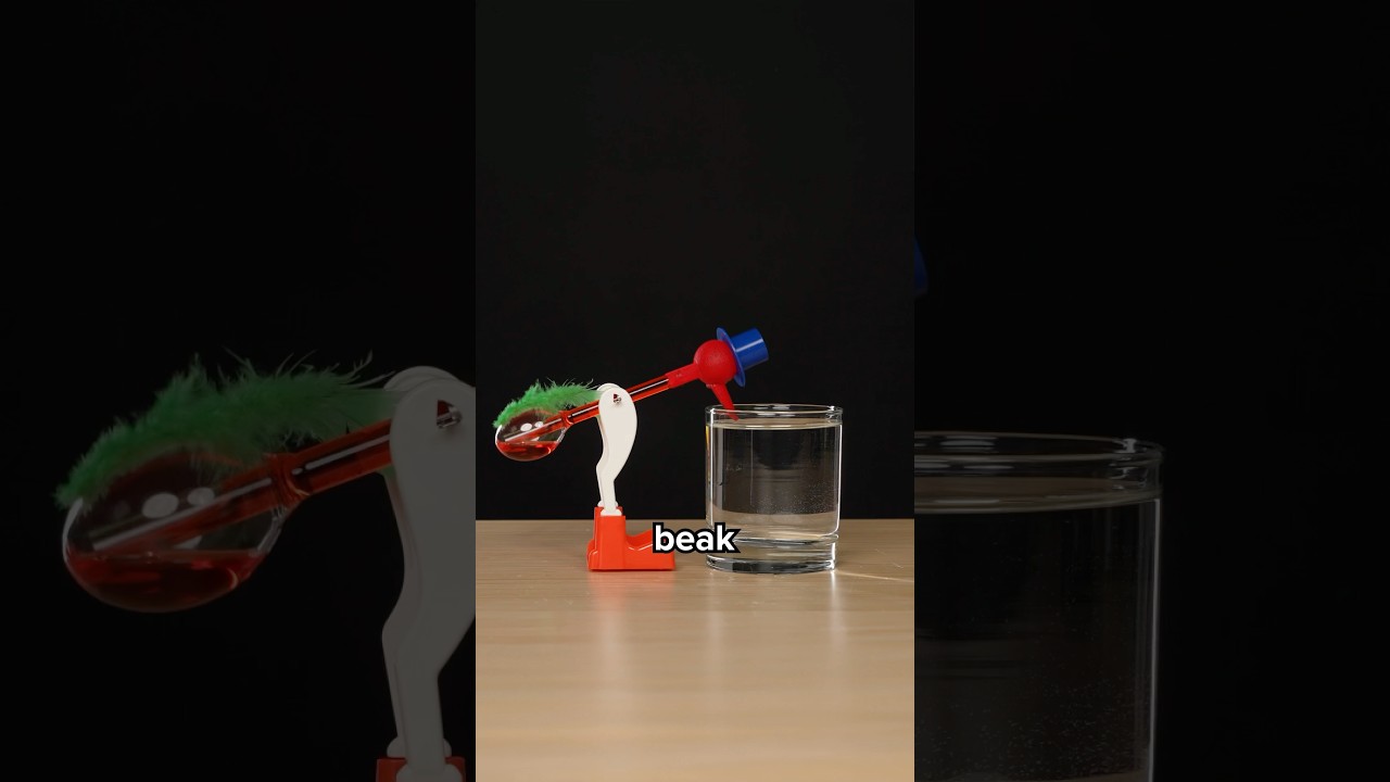 How to Make a Drinking Bird Toy Work: Easy Steps for Fun Results
