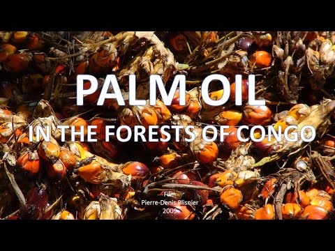 Video: Jayba Fofis Gigantiske Edderkopp: The Mystery Of Congo Forests - Alternativ Visning