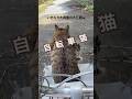 今週もお疲れ様でした😸 #猫 #自転車猫 #大五郎