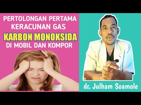 Video: Racun Karbon Monoksida Anjing - Keracunan Karbon Monoksida Pada Anjing