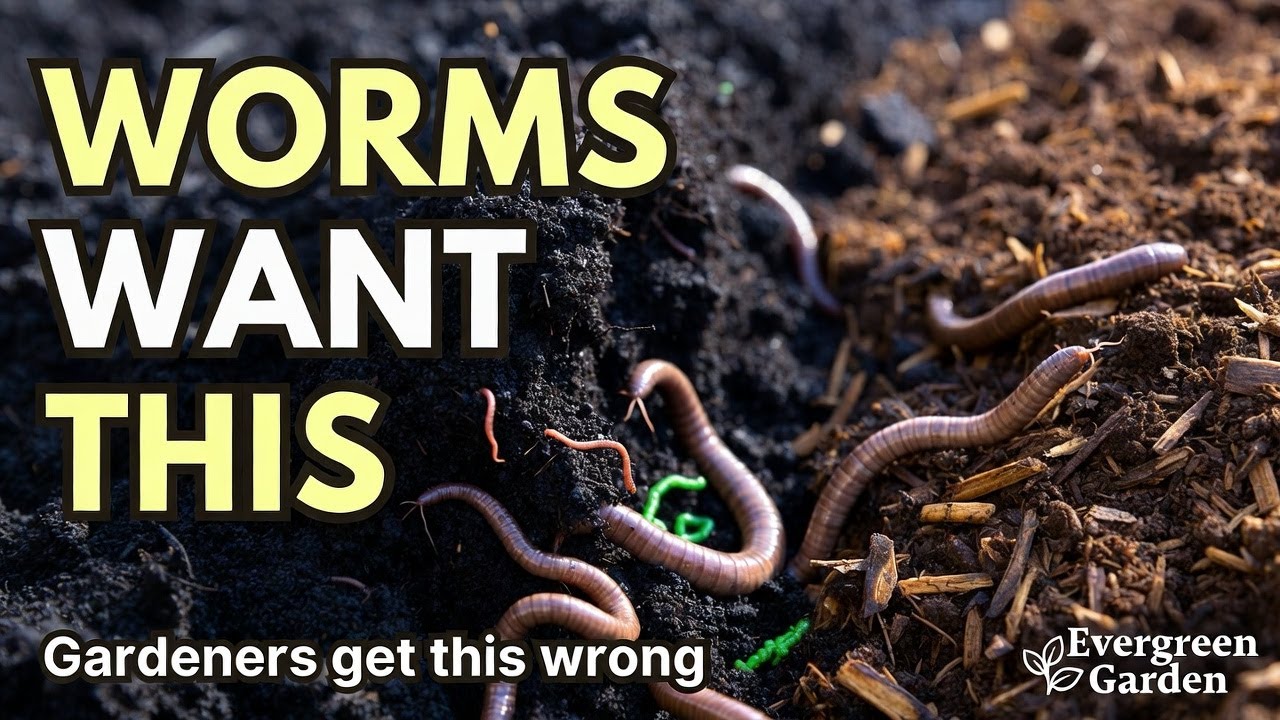 Earthworms Ignore Compost for THIS (Soil Science Gardeners Miss)