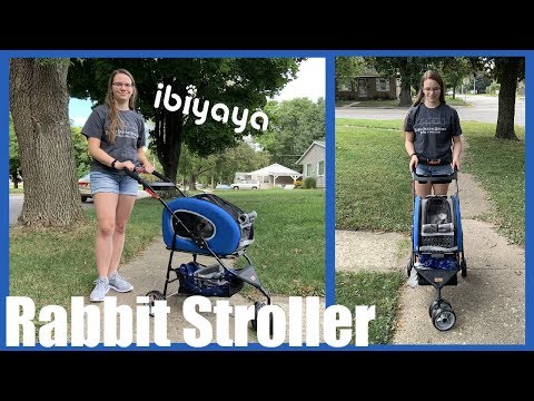 RABBIT STROLLER: ibiyaya 5 in 1 Pet Carrier