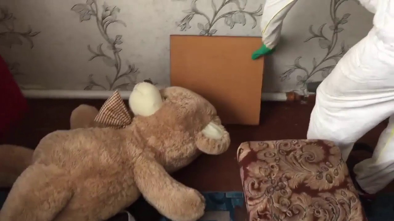 Обработка от клопов в квартире - YouTube