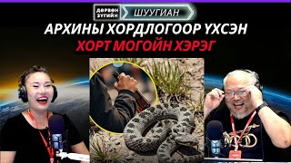 картинка: Дөрвөн зүгийн шуугиан | 2025-10-21 | Архины хордлогоор үхсэн хорт могойн хэрэг