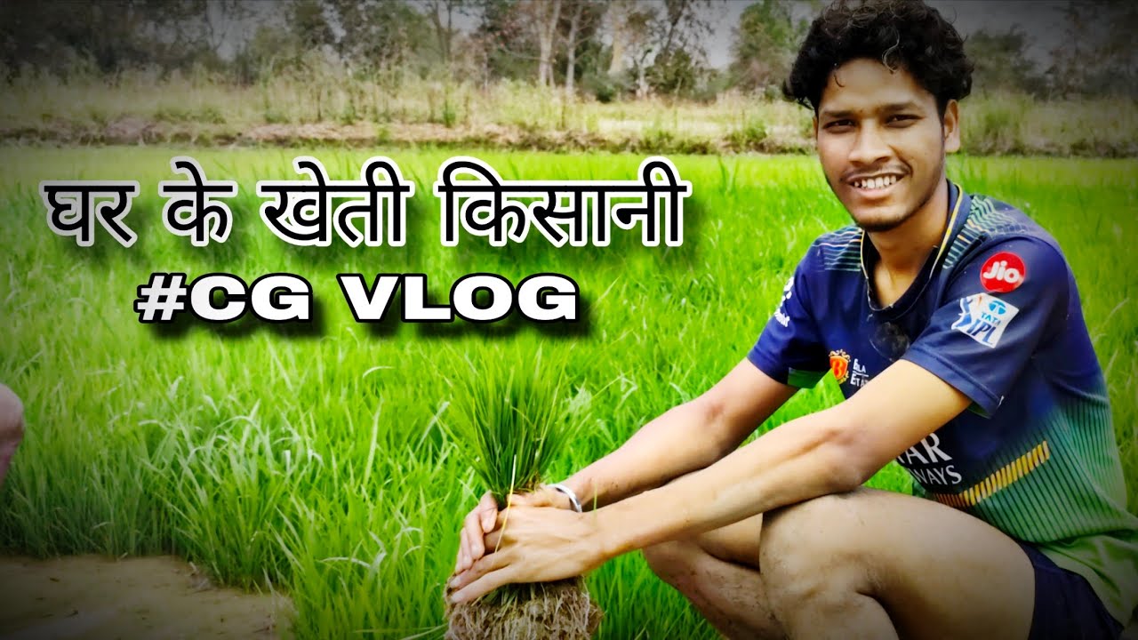 Hamar Ghar Ke Kheti Kisani 🌾 ।। हमर घर के खेती किसानी ।। #cgvlog  #khetibadi #villagelife #explore 