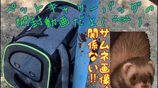 ぺキュート　ペットキャリーバッグ開封動画