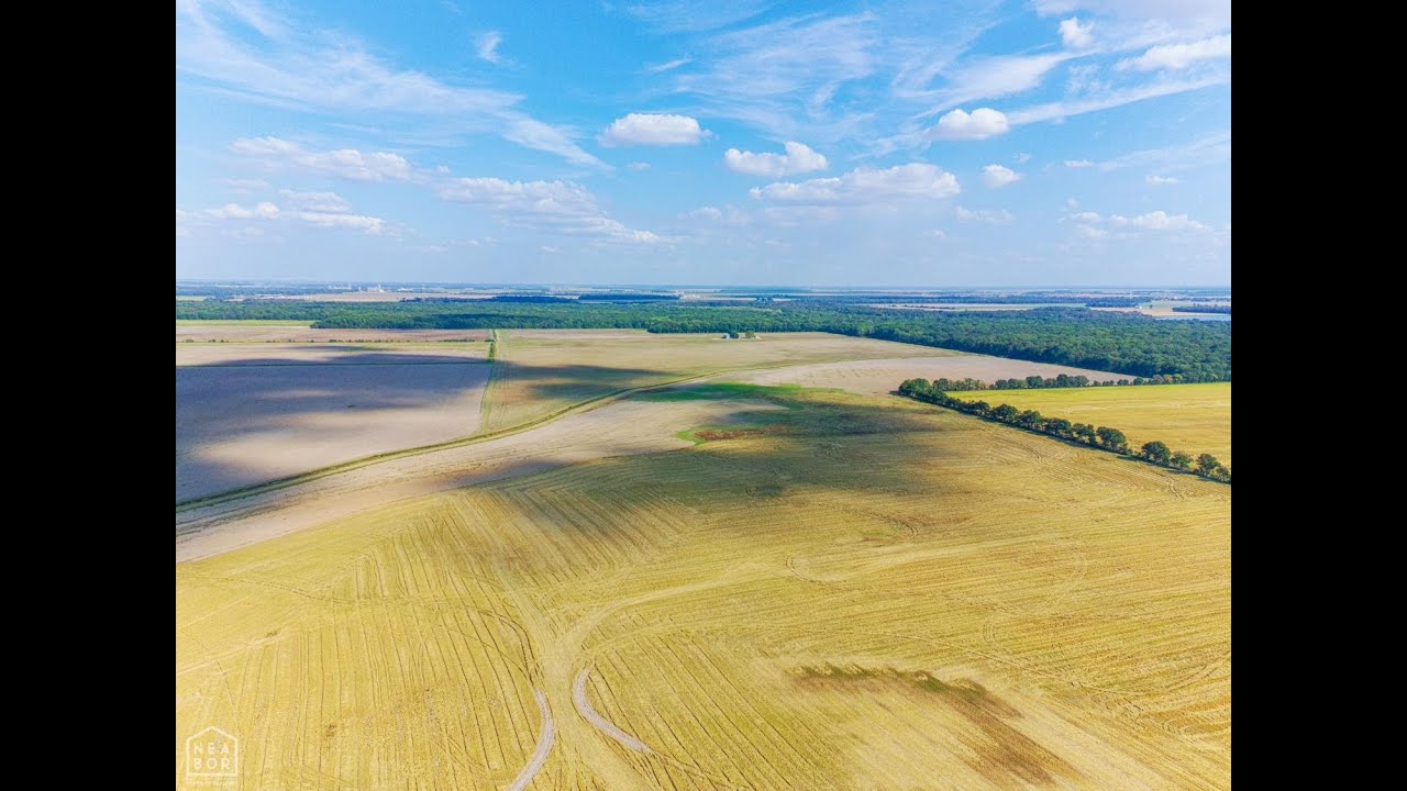 For Sale: 619 +/- acre farm in Poinsett County, Arkansas