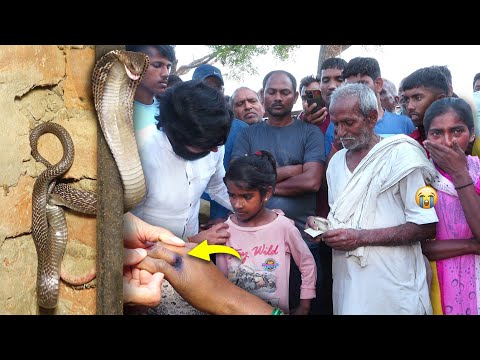 बहुत ही दुखद घटना कोबरा के काटने से 45 वर्षीय महिला की मौत कैसे हुई, बेसहारा हुए बच्चे!😭 Snake bite