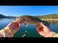 Topwater Bass Fishing (Emigrant Lake, Oregon)