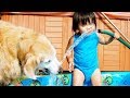 Adorable Baby and Dog Play With Water Hose – Funny Baby Vine