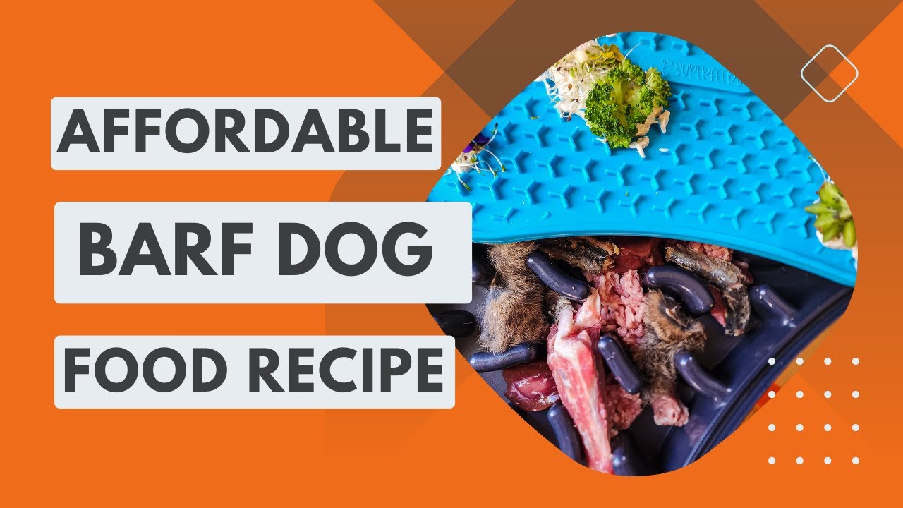 Super Feedy Affordable Pet Food Recipe Save Money & Feed Fresh