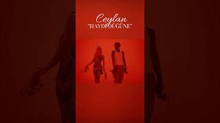 Haydi Düğüne Resimi