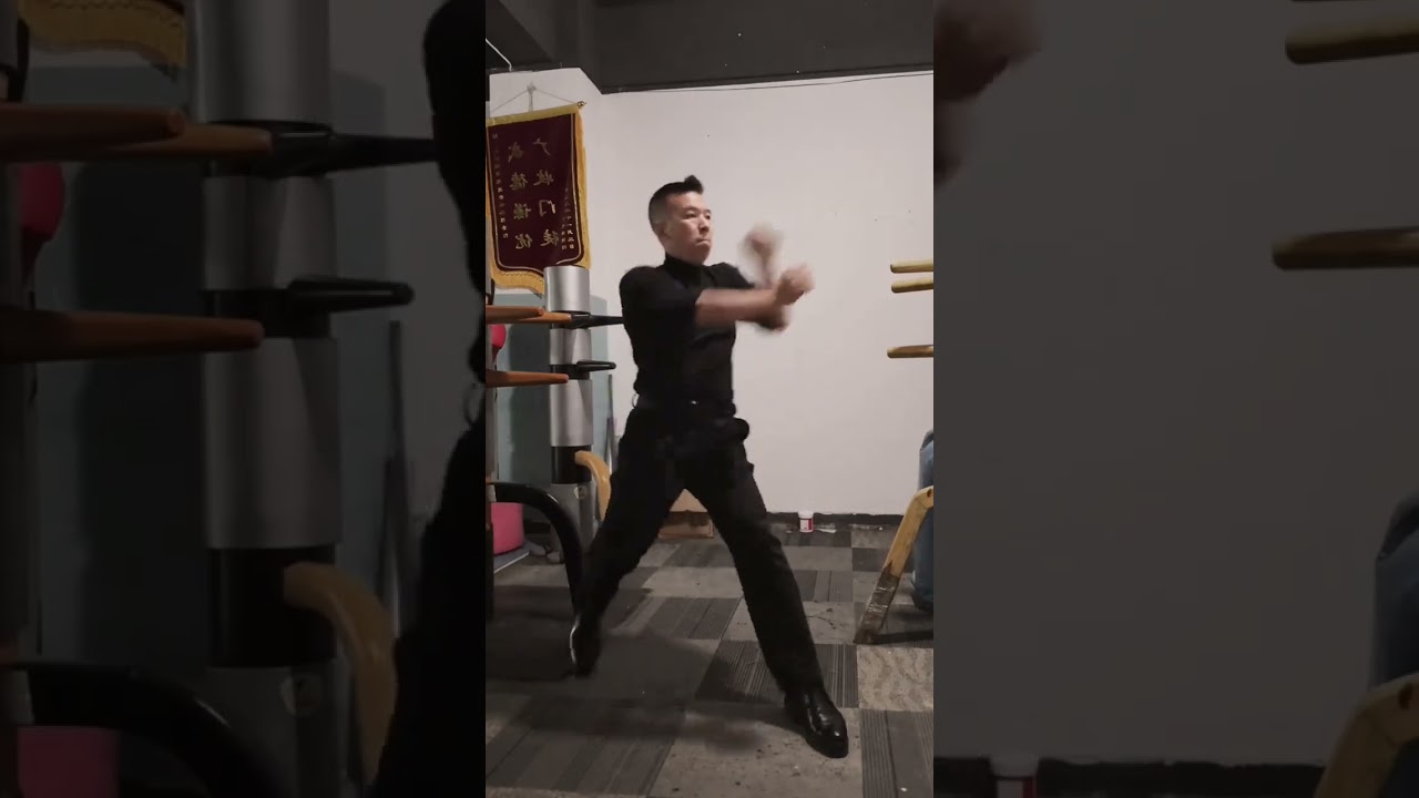 Wing Chun Sanshou