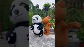 Download Lagu Funny Panda Reels  Panda Funny Status for Whatsapp  #reels #shorts   Copy 6 MP3