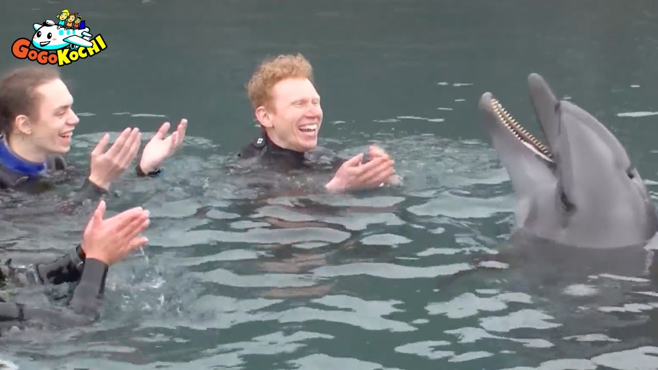 Muroto City - "A Journey for Two" - Go Go Kochi in