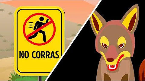 ¿Qué atrae a los coyotes a su casa?