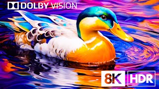 Dolby Vision™: ชีวิตอันเงียบสงบด้วย 8K HDR