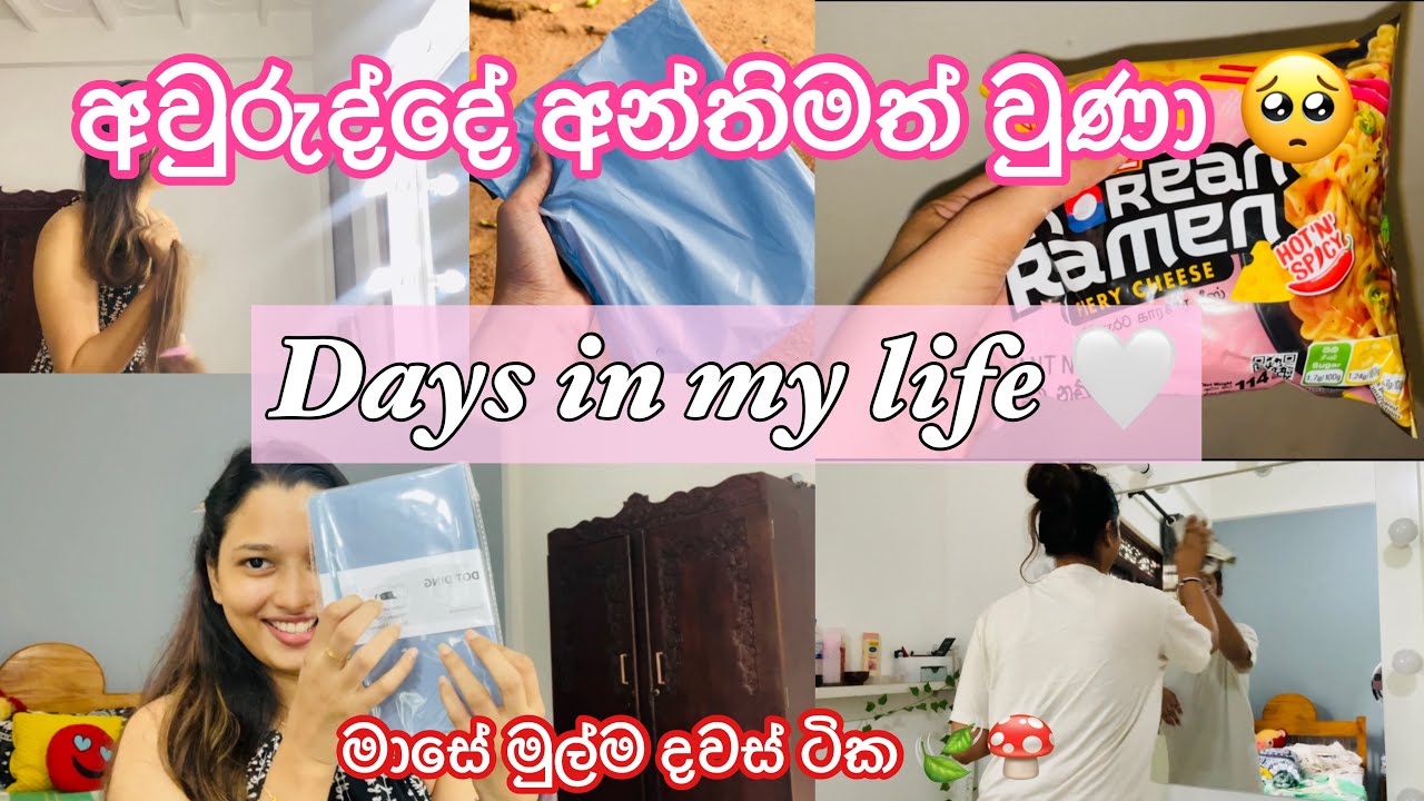 Days in my life🤍 |අවුරුද්දේ අන්තිමත් වුණා 🥺|මාසේ මුල් දවස් ටික 🍃අලුත් රාමේන් එක try කළාද🍜