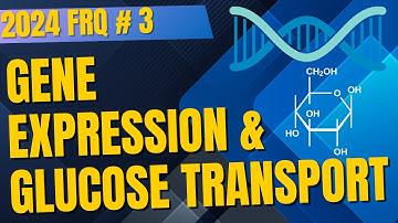 2024 AP Bio FRQ 3 Demystified! Gene Expression and Membrane Transport