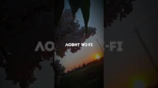 Забыла Выложить