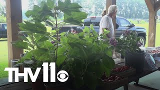 Central Arkansas hosts farmers market for community gardeners
