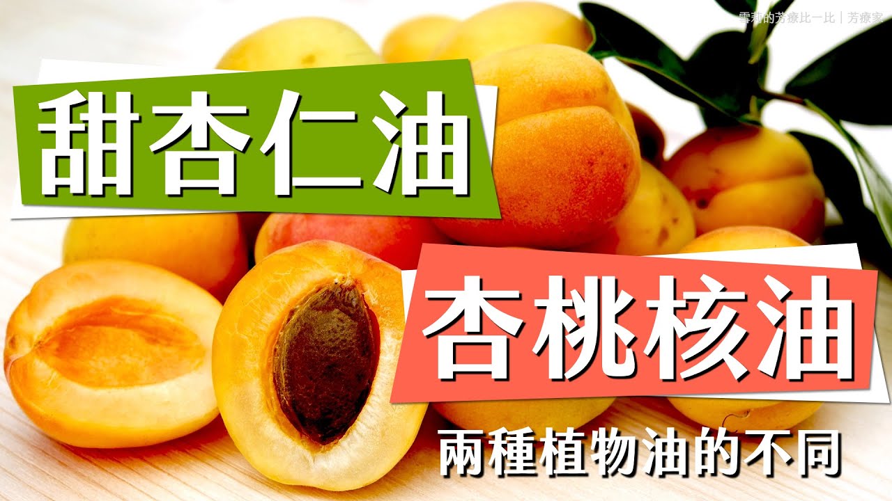 你知道甜杏仁其實不是杏仁嗎?杏桃核裡才是我們講的杏仁!這兩種植物油有什麼不一樣?選錯氣味差很多喔!|甜杏仁油與杏桃核油比一比|雪莉的芳療比一比|芳療家 縮圖