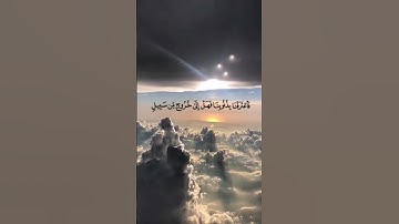 تلاوة مختارة من سورة غافر