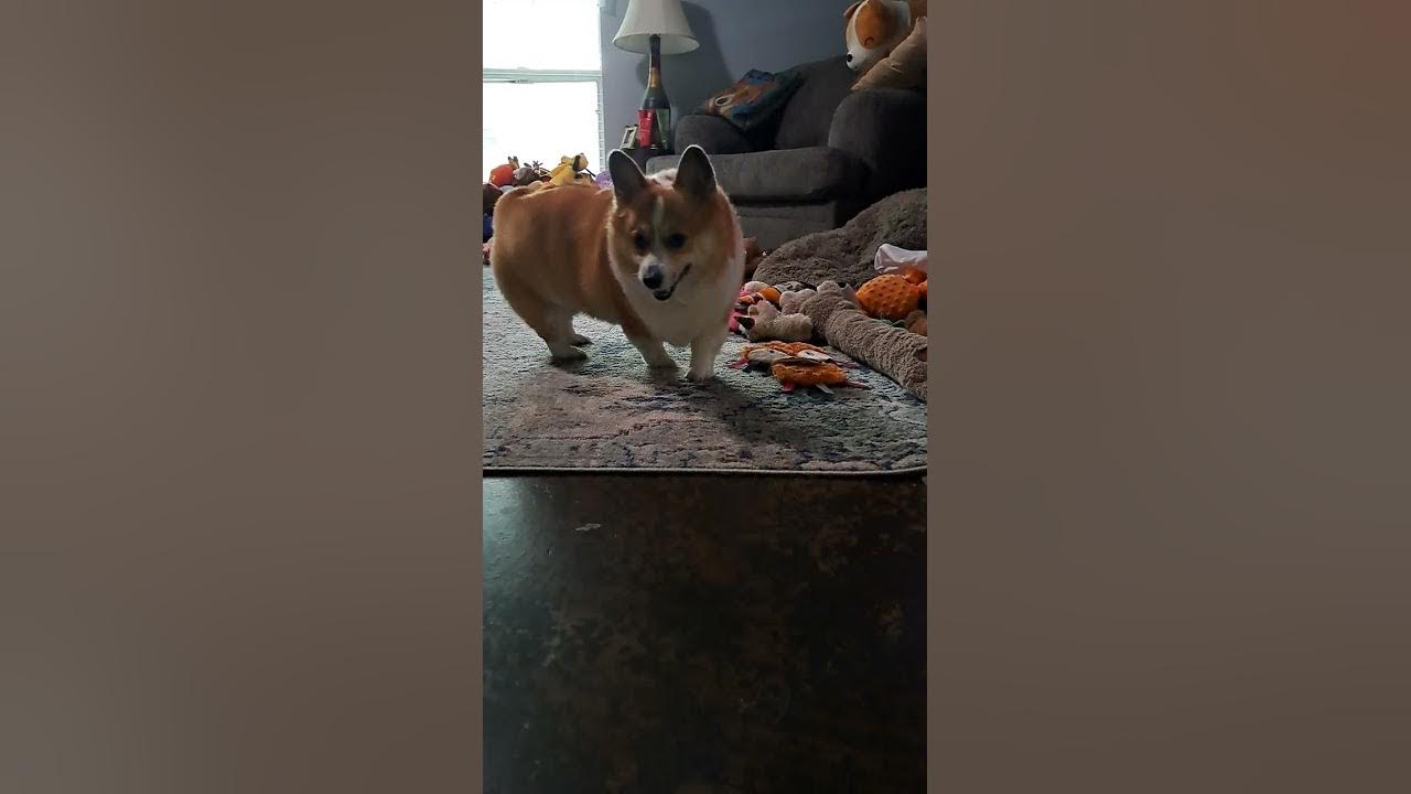 passes the joint ! YouTube