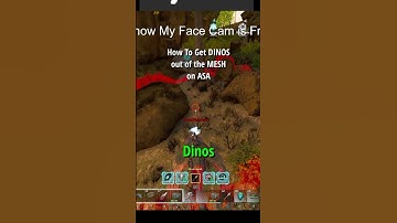 HOW to Get Your DINOS out of the Mesh - ASA