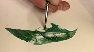 Time-lapse of Camellia Leaf Painting
