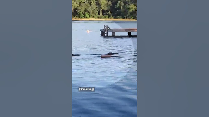Alligator charges toward kids in Texas lake
