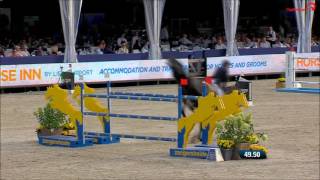 Heidelberg Van Het Lindehof Sires Of The World Zangersheide 2016