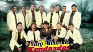Video thumbnail of "Dile que vuelva: PEDRO ALVARADO Y SUS CONDNADOS"